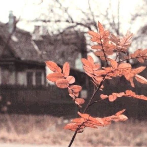claykuiper21